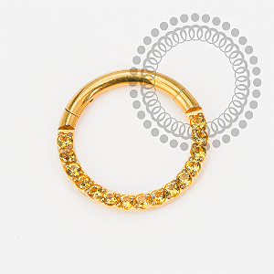 TN2202 Segmento Frontal 8mm CZ Amarela Titânio PVD Gold