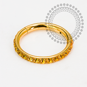 TN2203 Segmento Cravejado CZ Amarelo Titânio PVD Gold