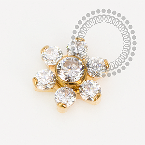 TN2213 Topo Micro Flor CZ  Titânio PVD Gold