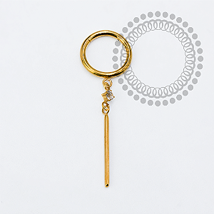 TN2283 Segmento 8mm Ping. CZ Barra Titânio PVD Gold