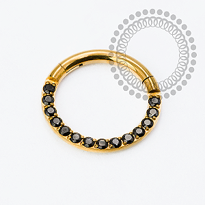 TN2333 Segmento Frontal CZ Black Titânio PVD Gold