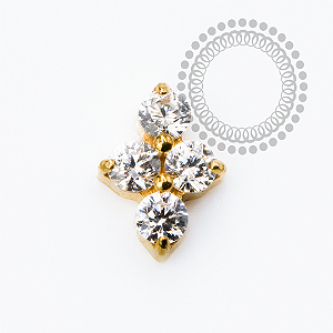 TN2342 Topo Mini Clover CZ Cristal Titânio PVD Gold