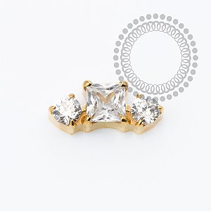 TN2343  Topo Mini Cluster 1 CZ Quadrada Titânio PVD Gold
