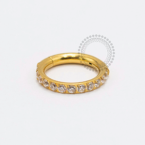 TN2376 Segmento Cravejado 1.6mm Titânio PVD Gold