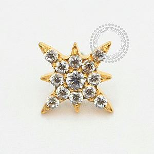 TN2400 Topo Estrela Dalva CZ Push Pin Titânio PVD Gold