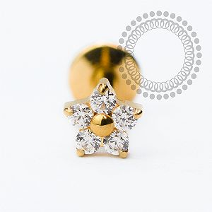 PVD127 Labret Mini Flor CZ Aço PVD Gold