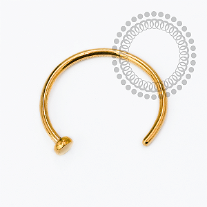 TN2427 Open Ring Titânio PVD Gold