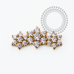 TN2511 Topo Cluster Trio de Flores CZ  Titânio PVD Gold