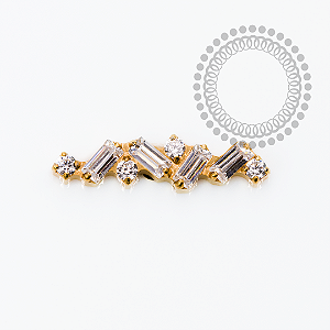 TN2513 Topo Cluster Mini Baguetes CZ  Titânio PVD Gold