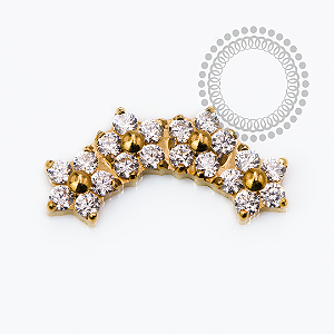 TN2517 Topo Cluster 4 Flores CZ  Titânio PVD Gold