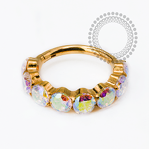 TN2522 Segmento CZ 3mm Boreal Titânio PVD Gold