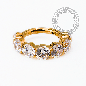 TN2524 Segmento CZ 3mm  Titânio PVD Gold