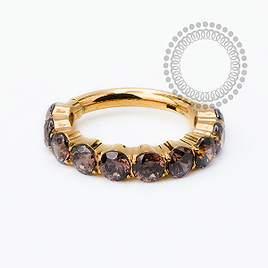 TN2541 Segmento CZ 3mm Dark Coffee Titânio PVD Gold
