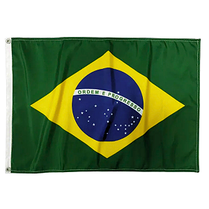 Bandeira do Brasil Oficial - Rapina Militar