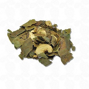 ABACATEIRO FOLHA 100G