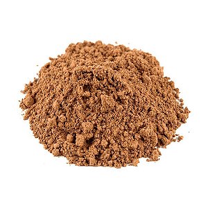 GUARANA EM PÓ 100G