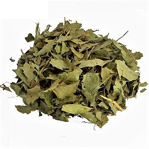 ESPINHEIRA SANTA 100G