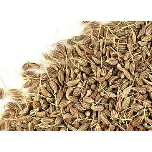ERVA DOCE 100G
