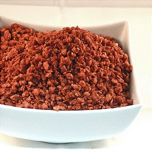 BACON VEGANO 100G