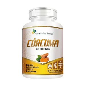 CURCUMA (95% CURCUMINA) 60CAPS 500MG