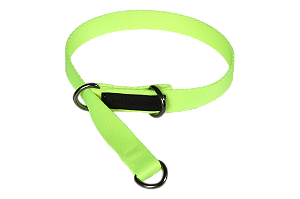 Coleira Obediência Para Cachorro Linha Neon - Verde