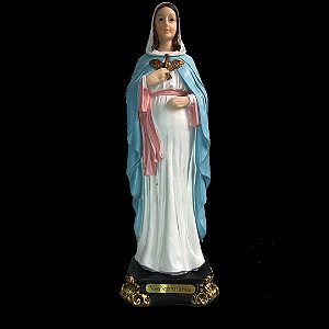 IMAGEM NOSSA SENHORA GRÁVIDA 30CM