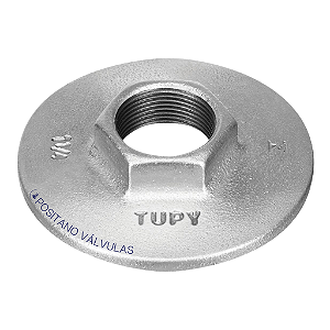 Flange com Sextavado Galvanizado TUPY-321 BSP 6"