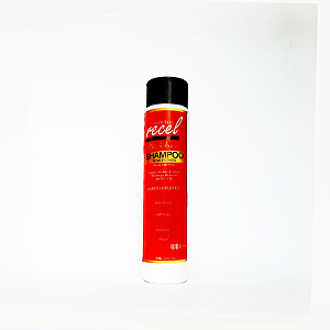 Aion Shampoo Óleo De Argan 300mL