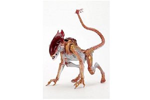 Panther Alien Kenner Tribute Ultimate Neca Original