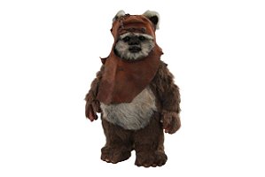 Wicket Star Wars Episodio IV O Retorno de Jedi Movie Masterpiece Series Hot Toys Original