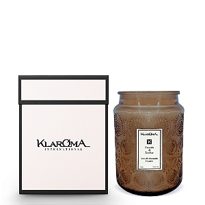 Vela Freesia & Âmbar Copo Âmbar - 550g