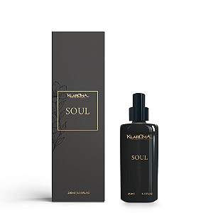 Home Perfume Spray Soul Turin 250 ml