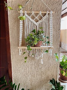 Prateleira Aglaonema