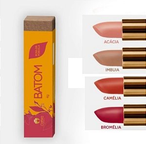 Batom Natural e Vegano Cativa - 4g VALIDADE- SET 25