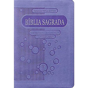 Bíblia Sagrada SBB NTLH, Letra Grande, Capa Luxo Violeta, Tamanho Pequeno, Borda Prateada - NTLH045LG