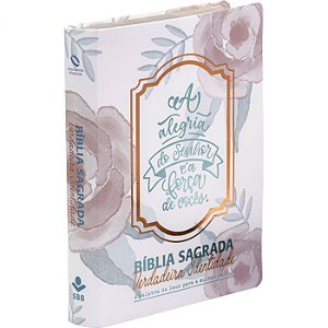 Bíblia Sagrada Verdadeira Identidade SBB, Capa Luxo Ilustrada Tamanho Grande, NAA - NA08BVI3
