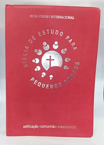 Bíblia de Estudo para Pequenos Grupos, Capa Vermelha NVI, Comentários de Lyman Coleman