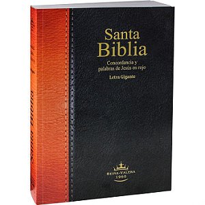 Santa Biblia Con Concordancia Amplia/ Espanhol, SBB, Capa Brochura, Tamanho Grande, Sem Índice - Reina Valerá