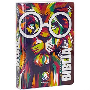 Bíblia de Estudo Kids: O Mundo de Otávio, Tamanho Médio , Capa Ilustrada, SBB, NTLH