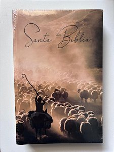 Santa Bíblia SBB, Tamanho Médio, Capa Rustica Ilustrada Brochura, Sem Índice - Reina Valera