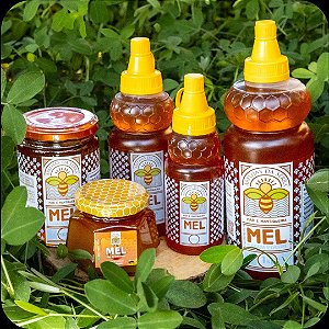 MEL ABELHAS DA SERRA MAR E MANTIQUEIRA 450G (VIDRO)