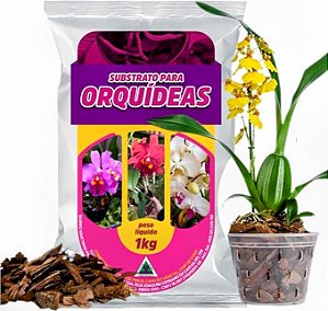 Substrato Premium para Orquídeas 2kg – Crescimento Forte e Flores Exuberantes!
