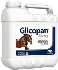 Glicopan Energy 5l Vetnil