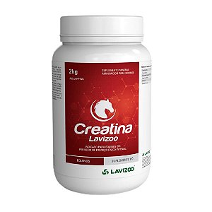 Creatina Lavizzo 2kg