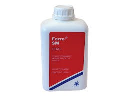 Ferro Sm Oral 1000 Ml