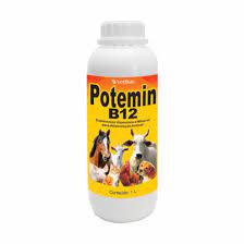 Potemin B12 1 L Oral Vetbras
