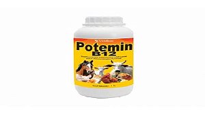 Potemin B12 1 L Oral Vetbras