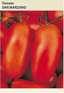 Semente Tomate San Marzano 0,6g