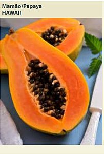 Semente Mamao Papaya Hawaii 0,6g