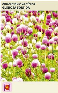Semente Amaranthus Gomphre G 0,15g